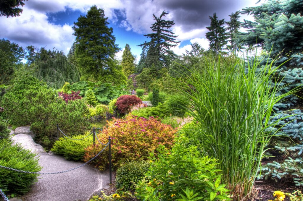 Lush tree nursery with diverse trees dense bushes winding stone path and vibrant greenery background Wallpaper