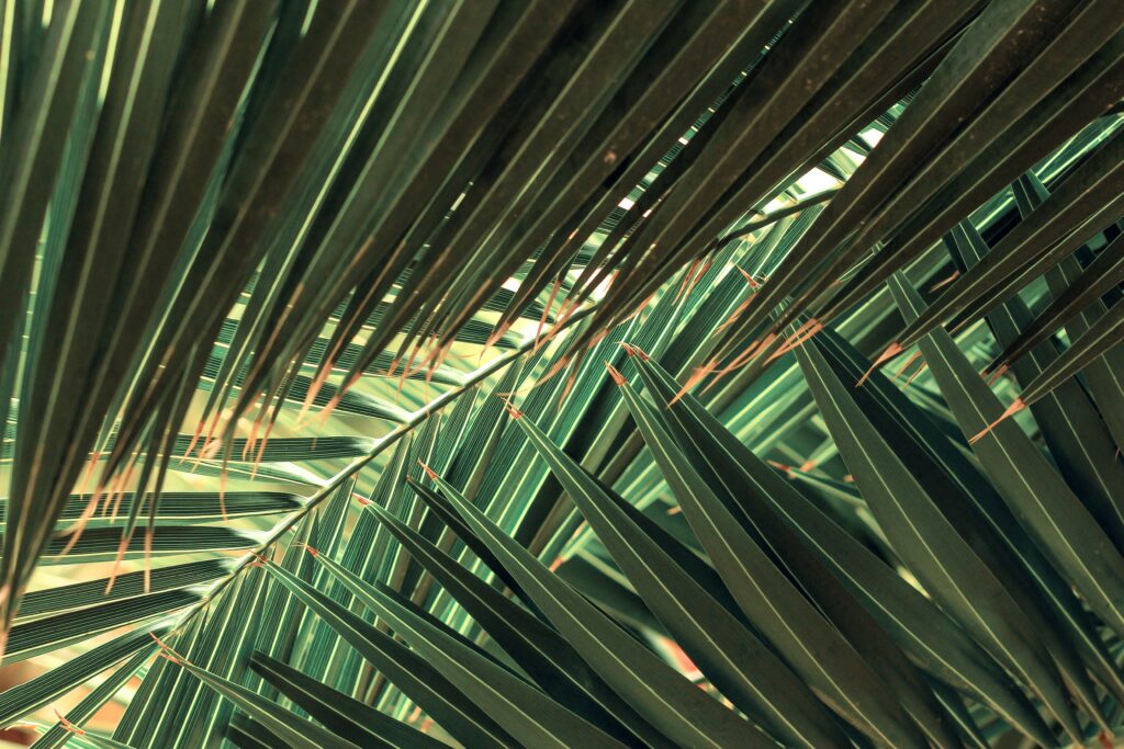 Lush tropical wallpaper with overlapping green palm leaves and intricate carved leaf patterns