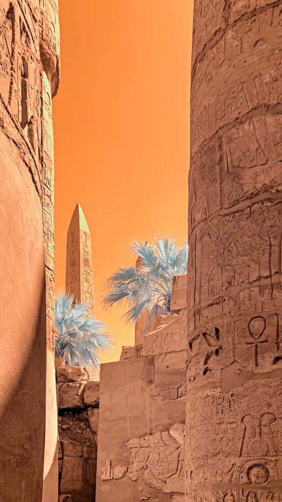 Night view of Luxor Temple with ancient columns obelisk and blue palm trees at sunset wallpaper