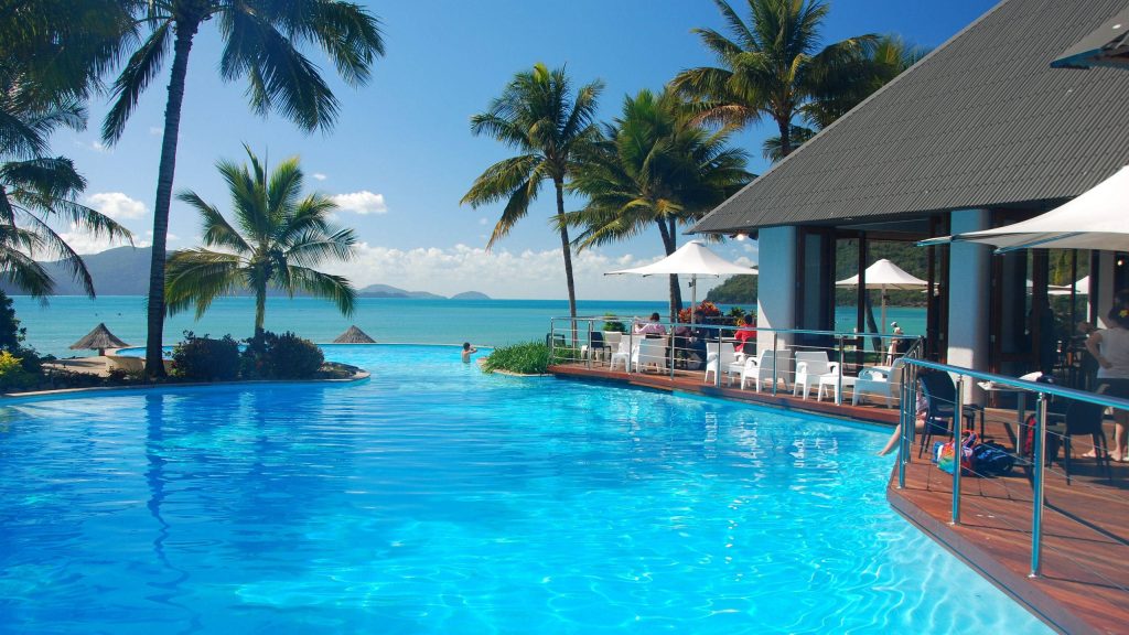 Luxury tropical resort infinity pool with vibrant blue water palm trees and wooden sun deck Wallpaper
