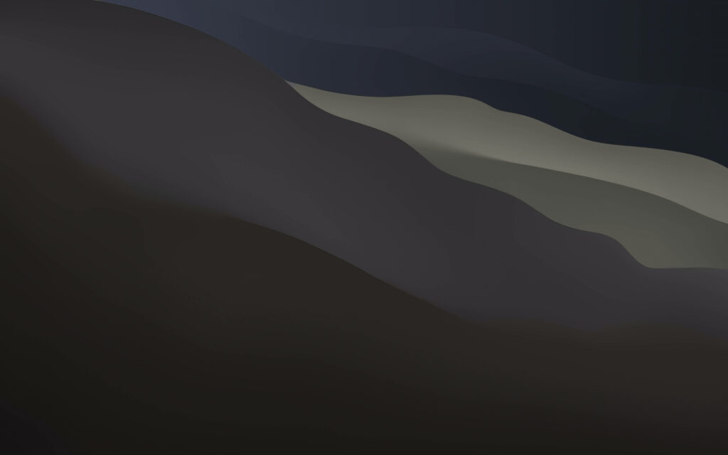 Minimalist abstract wallpaper with smooth curves in charcoal and muted blue macOS Big Sur style