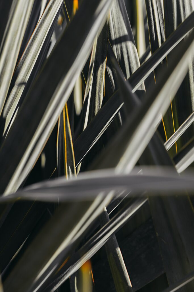 Macro close-up of green leaves and stems with natural lighting highlighting textures and patterns Wallpaper
