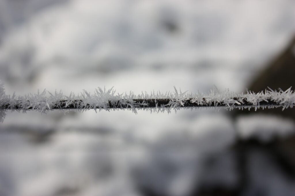 Delicate Hoarfrost Crystals on Wire: Stunning Macro Wallpaper Background