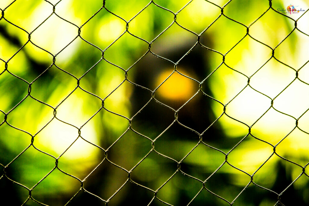 Vibrant Wire Mesh Macro: Green & Yellow Blurred Wallpaper Background