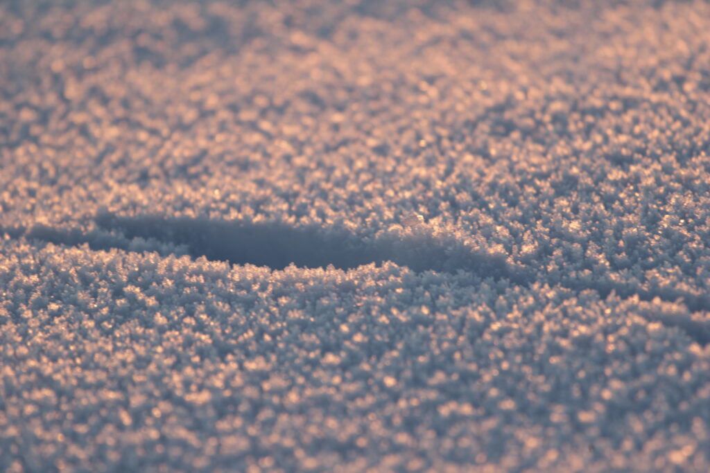 Macro Snow Close-Up: Textured Trail & Shadows for Wallpaper Background