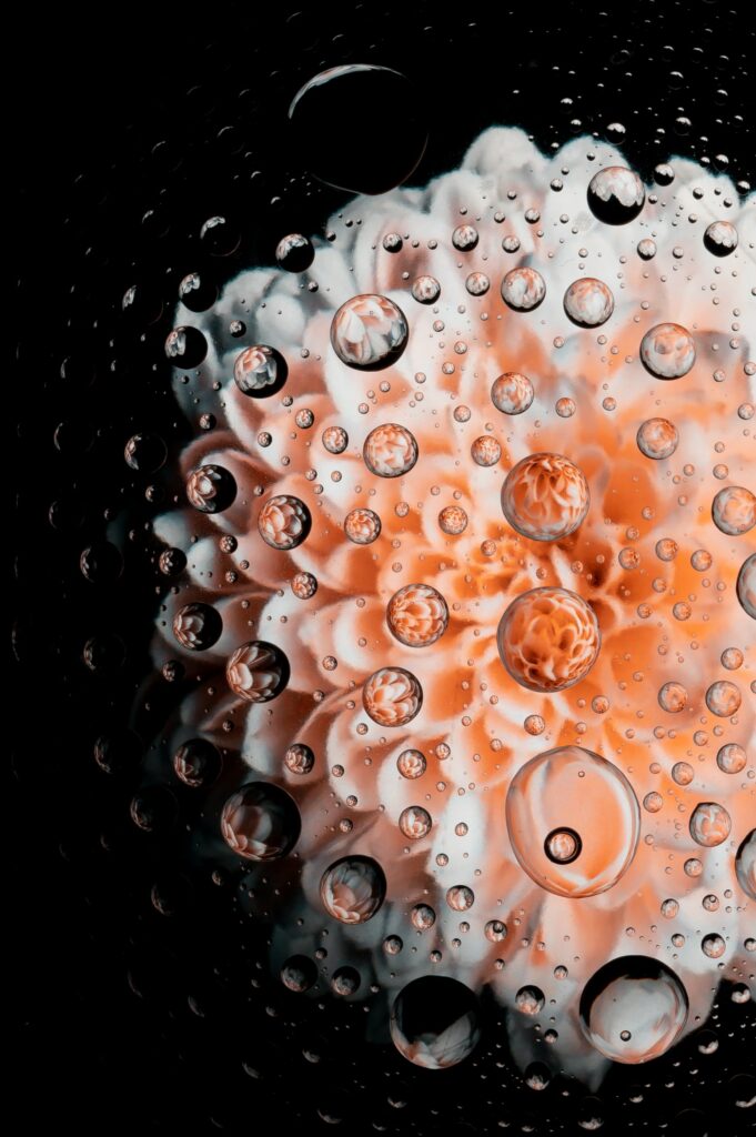 Vibrant Orange Flower Close-Up with Water Droplets - Striking Wallpaper