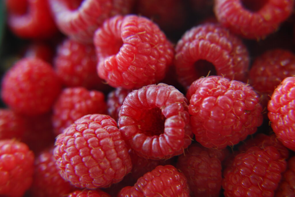 Close-Up Macro Wallpaper of Ripe Red Raspberries – Nature’s Beauty