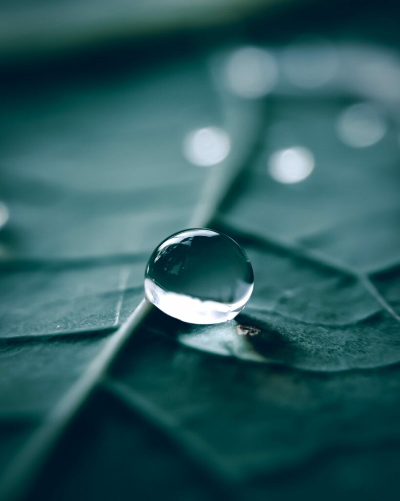 Macro Water Droplet on Textured Leaf - Serene Green Wallpaper