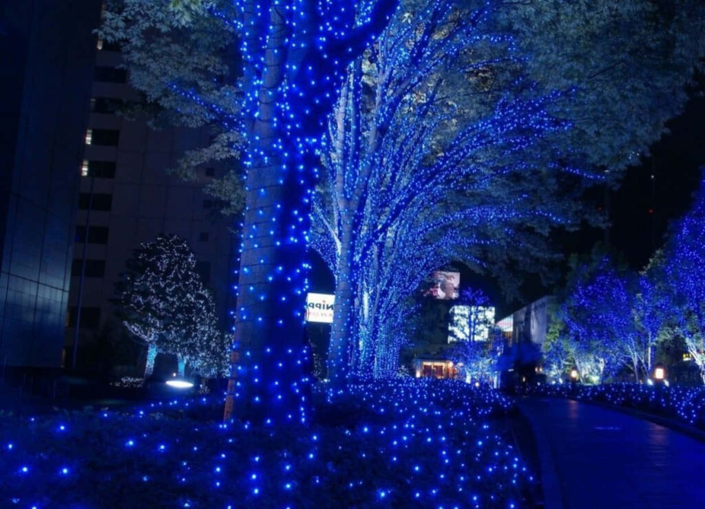 Magical Blue Lights on Trees - Serene Winter Wonderland Background Wallpaper