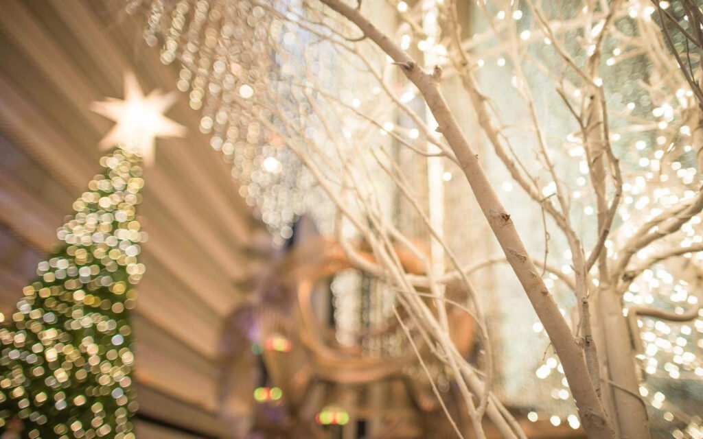 Enchanting Christmas Lights on a Festive Tree and White Branches Wallpaper