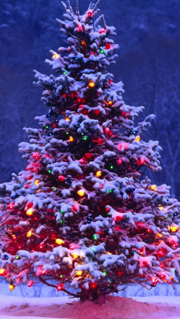 Glowing Christmas Tree in Snowy Setting: A Festive Winter Scene Wallpaper