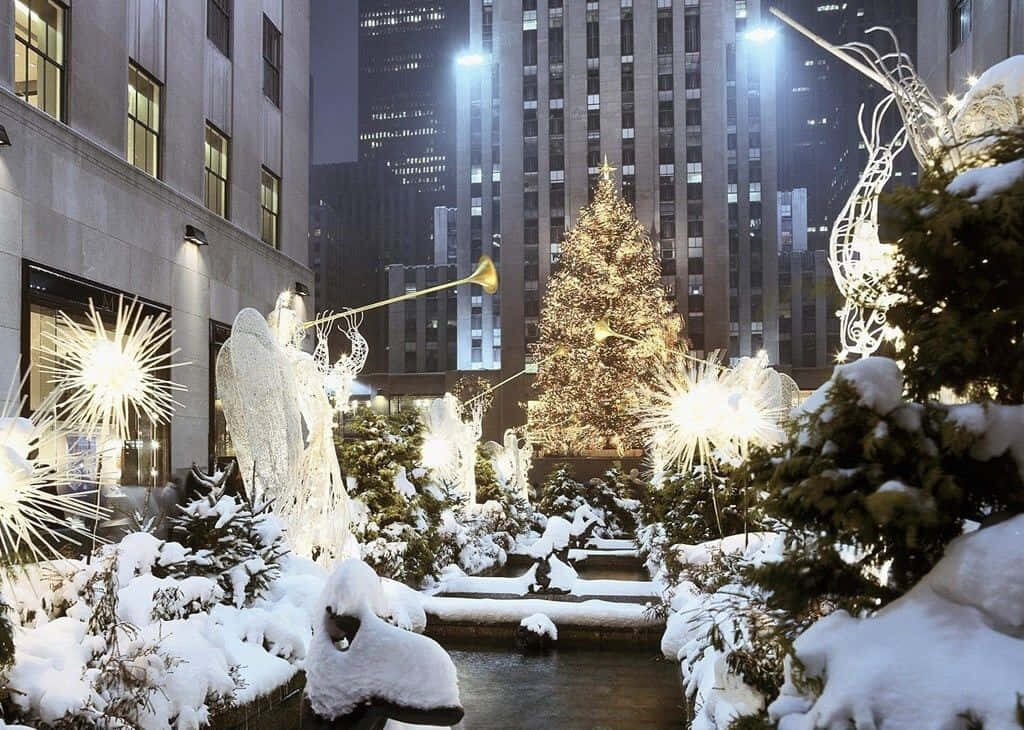 Festive Snowy Urban Christmas Tree Wallpaper - Holiday Magic Background