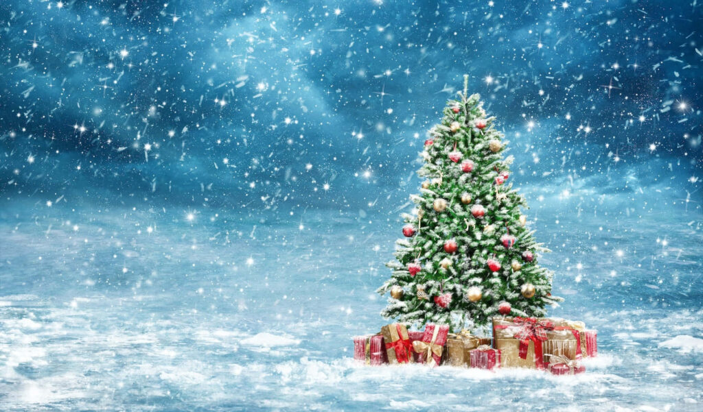 Magical Winter Scene: Christmas Tree in a Snowy Landscape Wallpaper