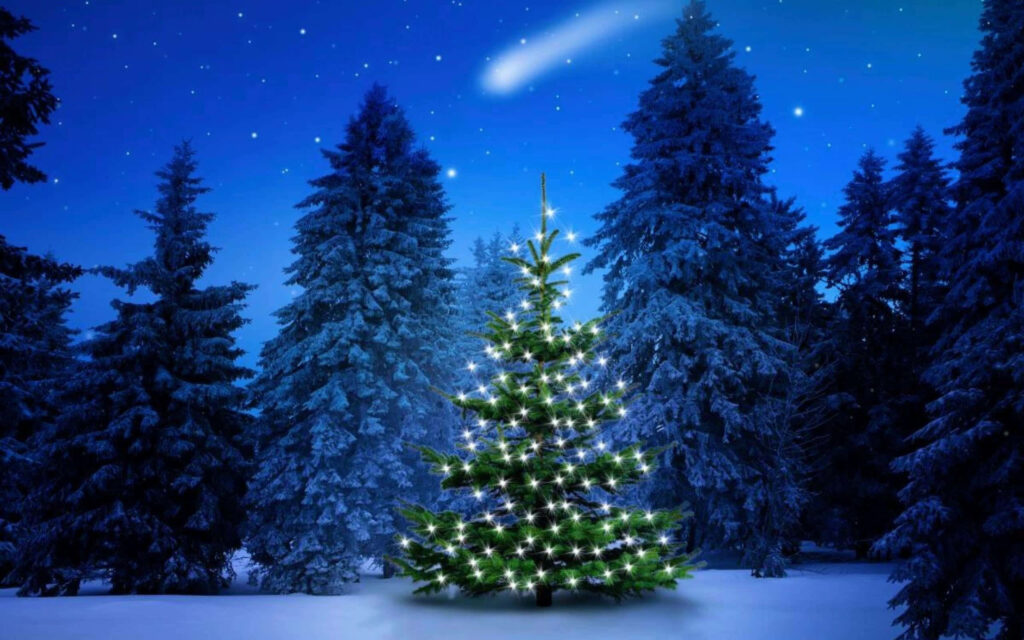 Magical Christmas Tree in Snowy Forest Under Starry Night Sky Wallpaper