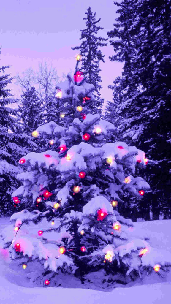 Festive iPhone Wallpaper: Snowy Pine Tree with Twinkling Lights
