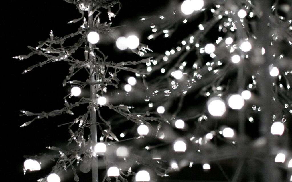 Magical Dark Background with Bright White Light Trees Wallpaper
