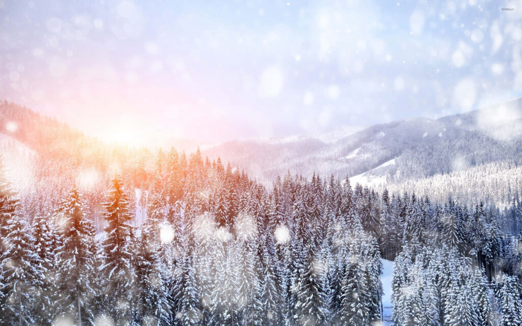 Tranquil Winter Landscape: Forest in Snow - Serene Wallpaper Background