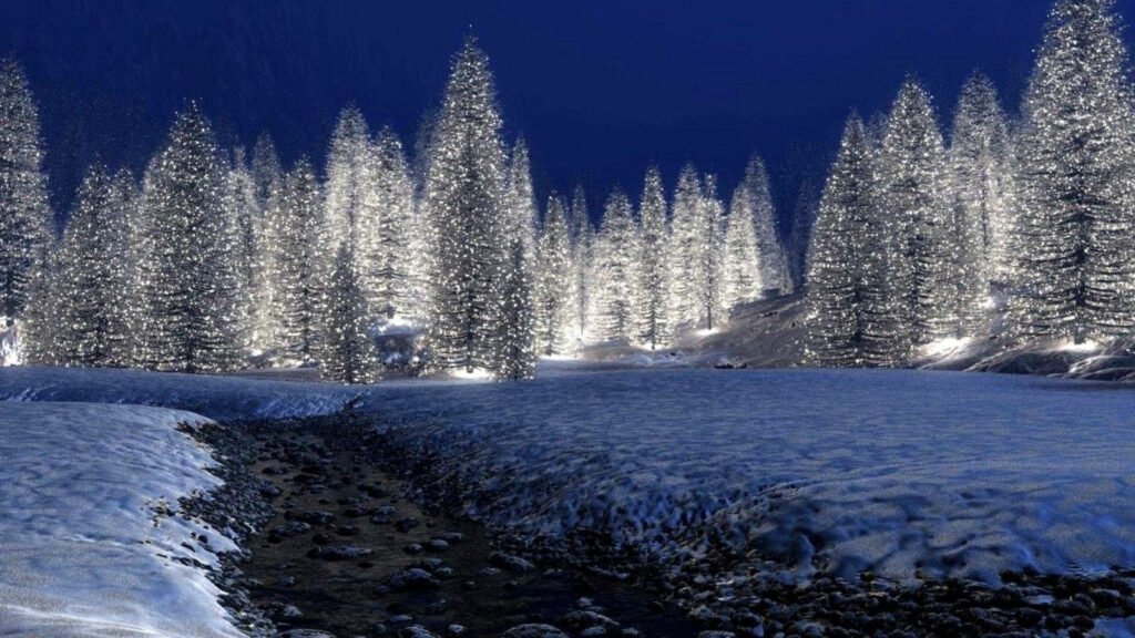 Serene Winter Landscape Wallpaper: Snowy Pine Forest Under Night Sky