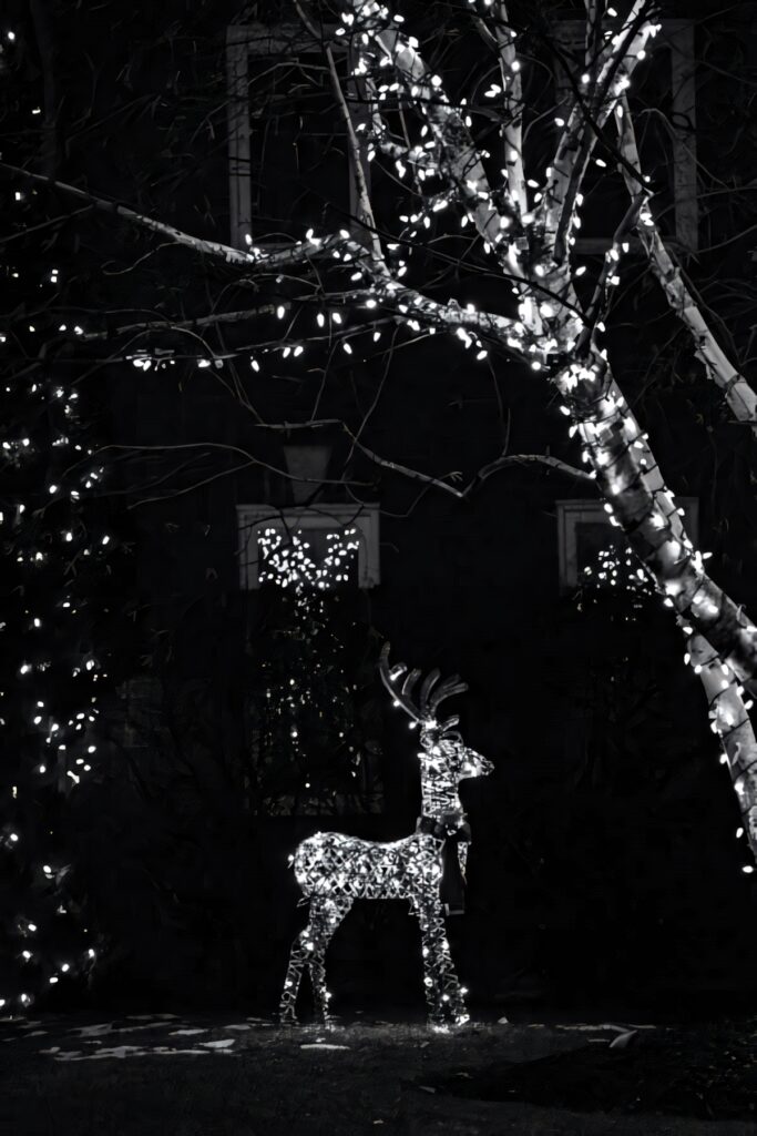 Magical Night: Dazzling Reindeer Decor Amidst Twinkling Lights Wallpaper