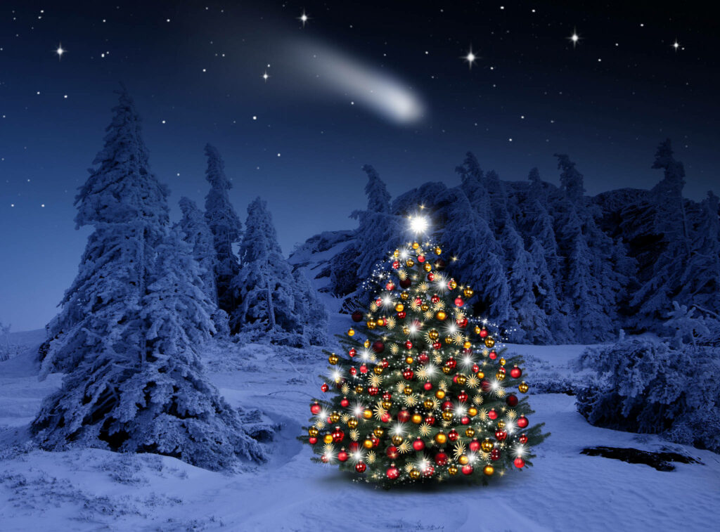 Magical Winter Wonderland: Snowy Forest & Starry Night Tree Wallpaper