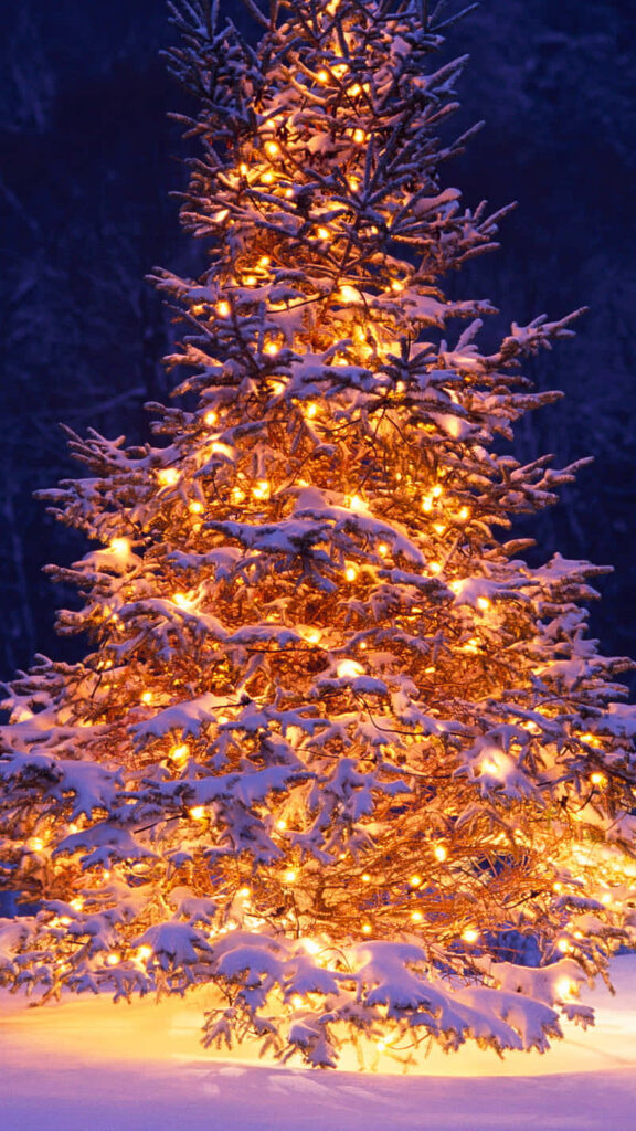 Magical Christmas Tree in Snow: Illuminated Winter Wonderland Scene Wallpaper