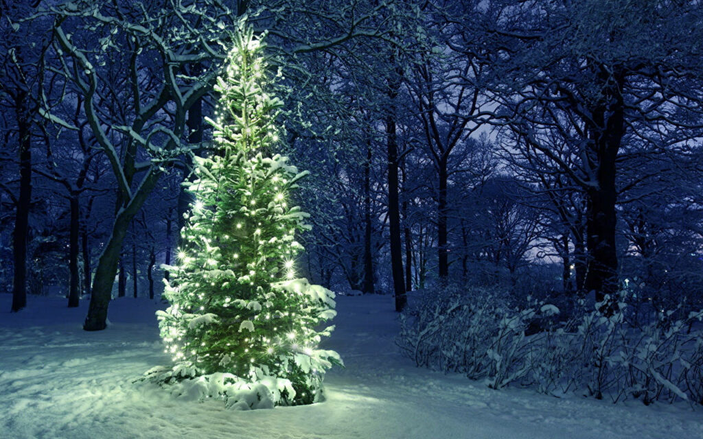 Enchanting Winter Wonderland: Radiant Tree in Snowy Forest Wallpaper