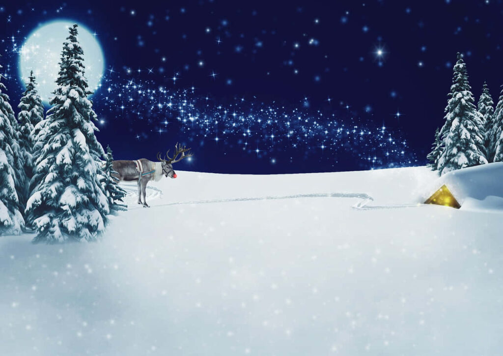 Charming Winter Wonderland Wallpaper: Serene Snowy Night Scene