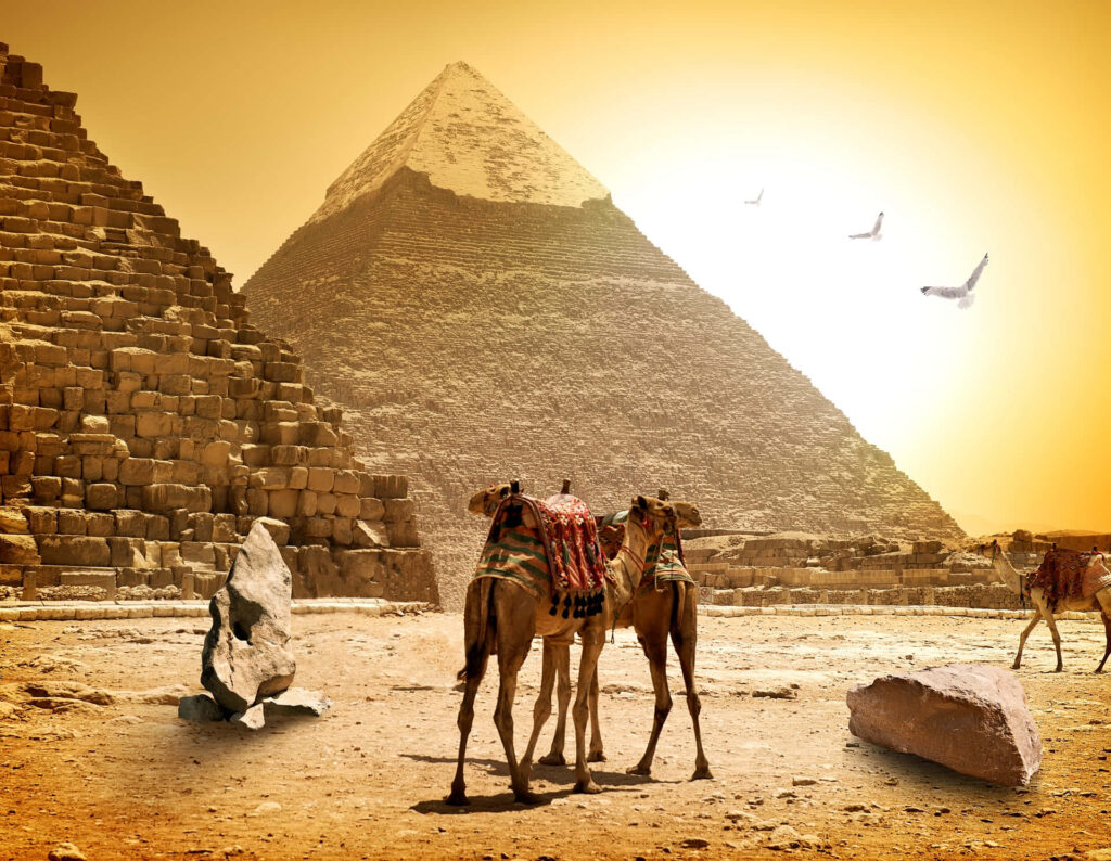 Great Sphinx of Giza with pyramids camels and golden sunset sky on Egyptian desert wallpaper