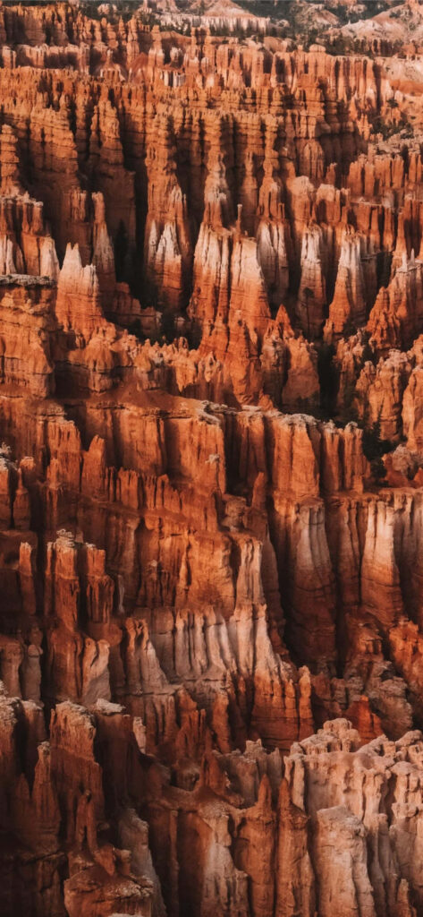 Red hoodoos at Bryce Canyon National Park with vibrant orange rock formations and soft sunlight Wallpaper
