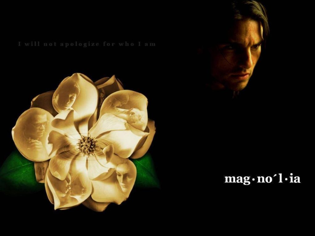 Tom Cruise portrait with magnolia flower and iconic quote Magnolia film wallpaper dark theme