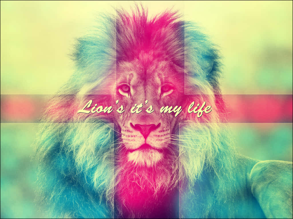 Majestic Abstract Lion Wallpaper: Power, Grace & Vibrant Colors