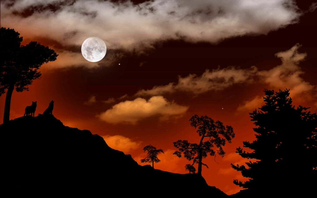 Alpha Wolves Silhouetted Against a Majestic Sunset Wallpaper