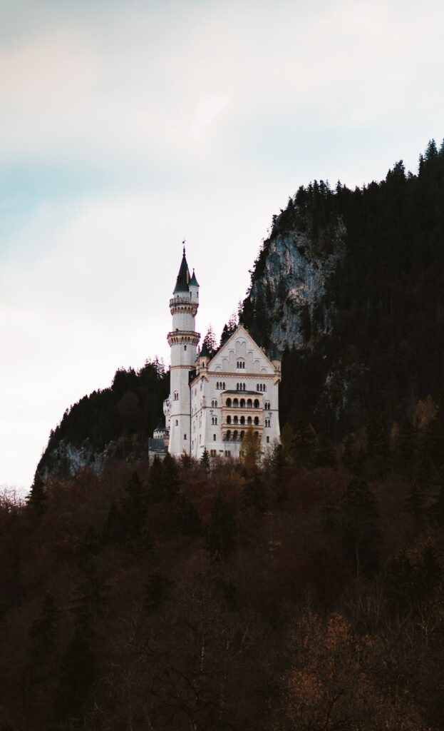 Ancient white stone castle with intricate architecture on rugged mountain above dense forest wallpaper