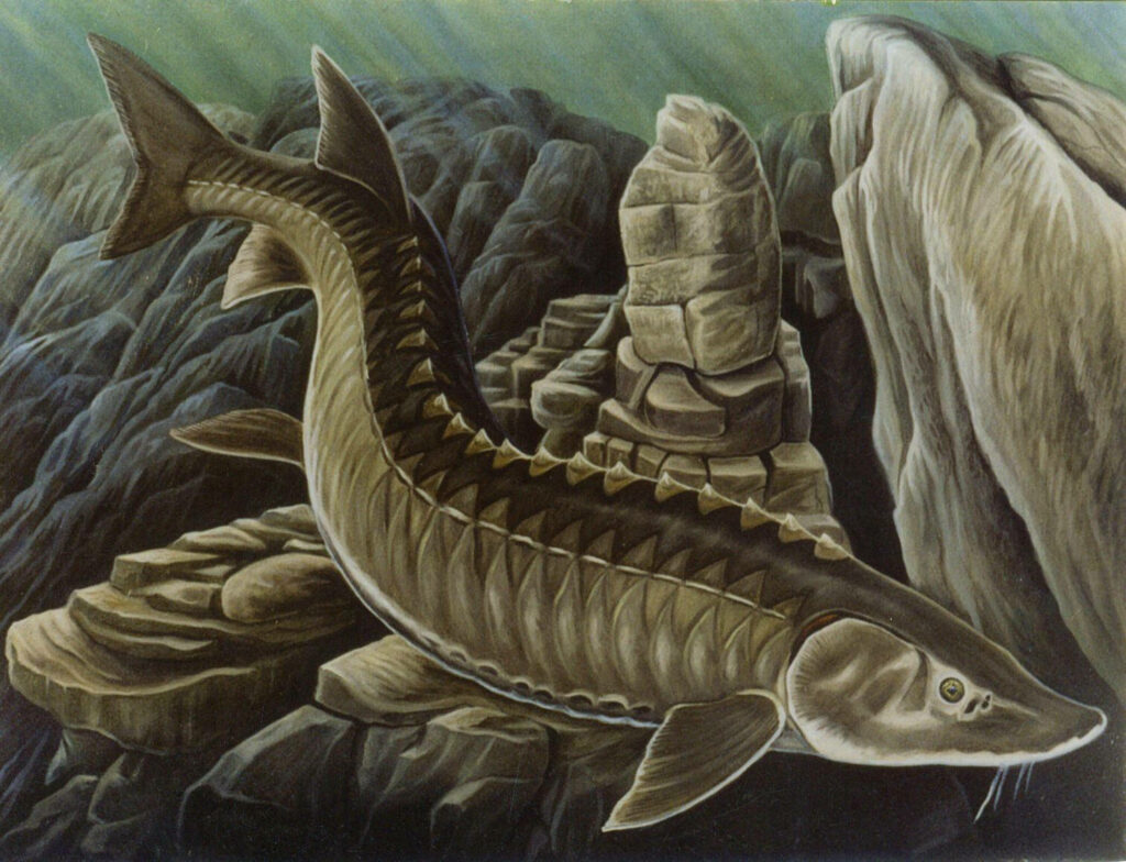 Majestic Ancient Sturgeon Wallpaper: Underwater Elegance & Beauty