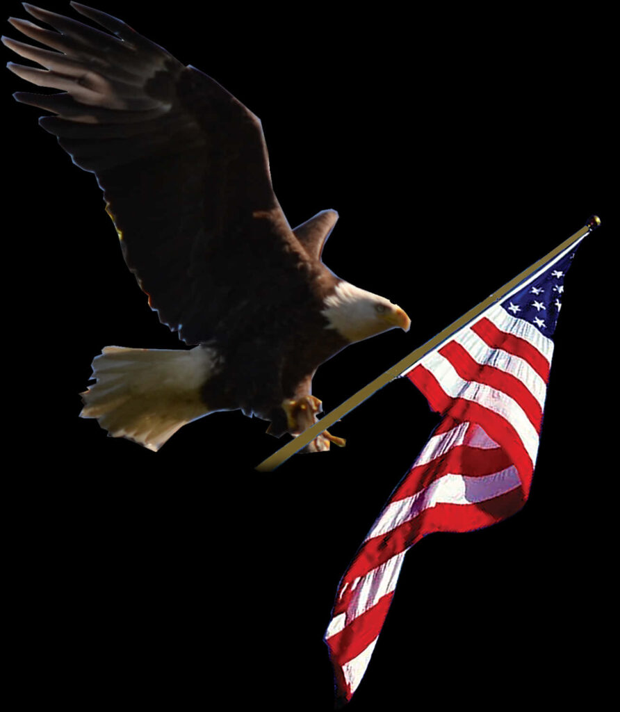 Majestic Bald Eagle Soaring with American Flag Wallpaper Background