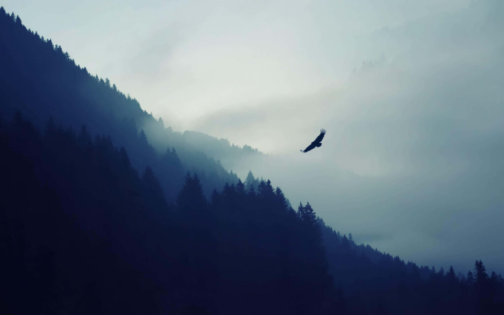 Majestic Bald Eagle Wallpaper: Soaring in Misty Mountain Serenity