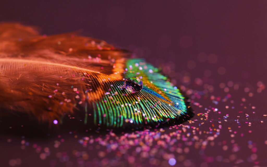 Exquisite Detail: Captivating Close-up of Peacock Feathers as HD Wallpaper Background