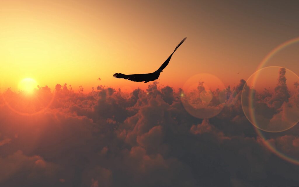 Majestic bird soaring above clouds at sunset with golden light and serene sky background Wallpaper