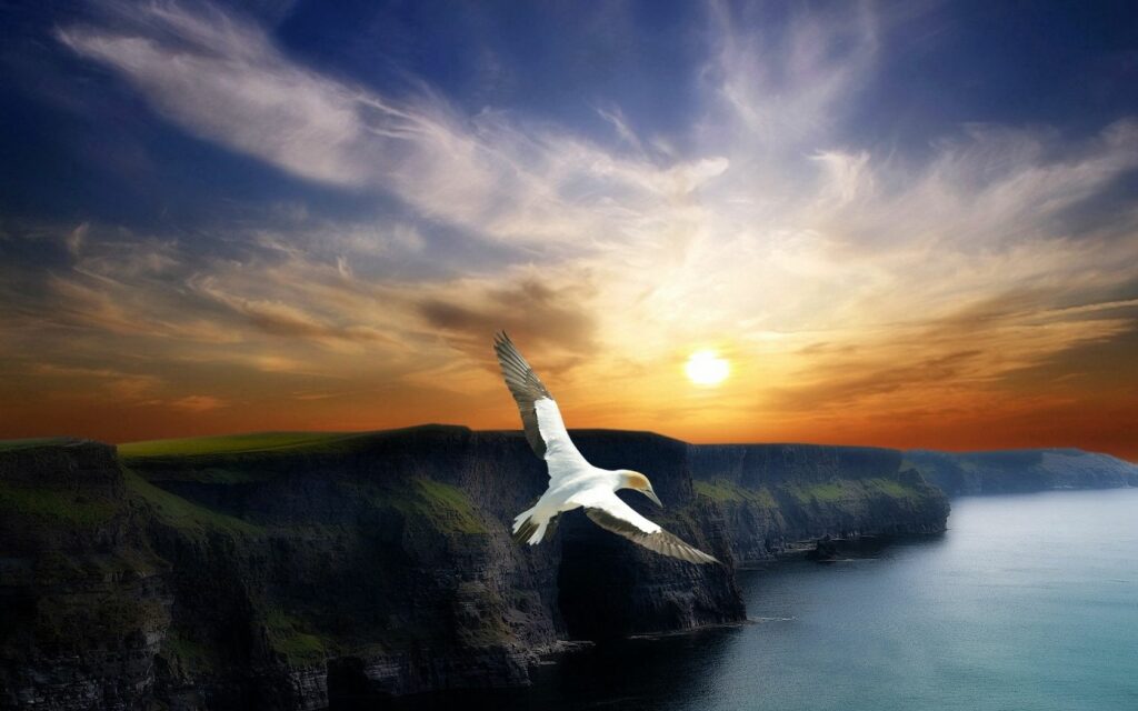 Majestic bird soaring over dramatic mountain cliffs at sunset vibrant orange and blue sky wallpaper
