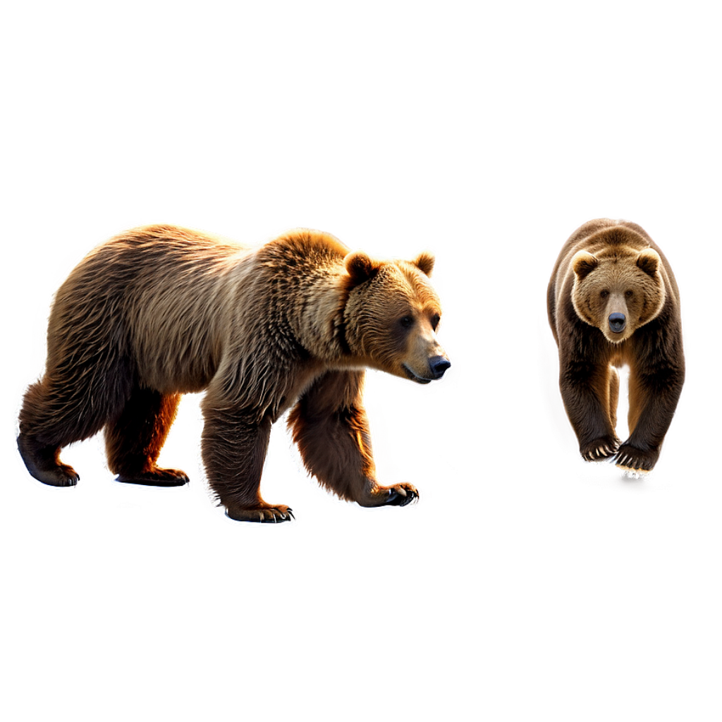 Majestic Brown Bears: Glowing Wallpaper on Earthy Background