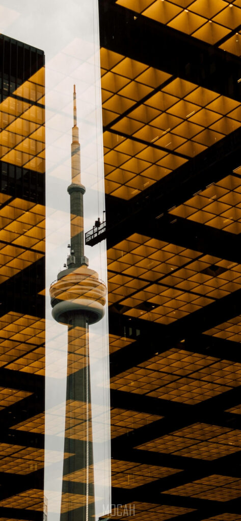 CN Tower reflection framed by golden grid windows urban architecture wallpaper background