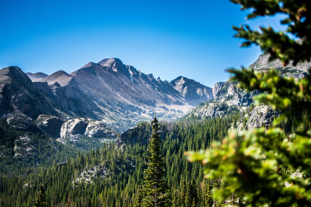 Majestic Colorado Rocky Mountains with rugged peaks pine forests and clear blue sky wallpaper