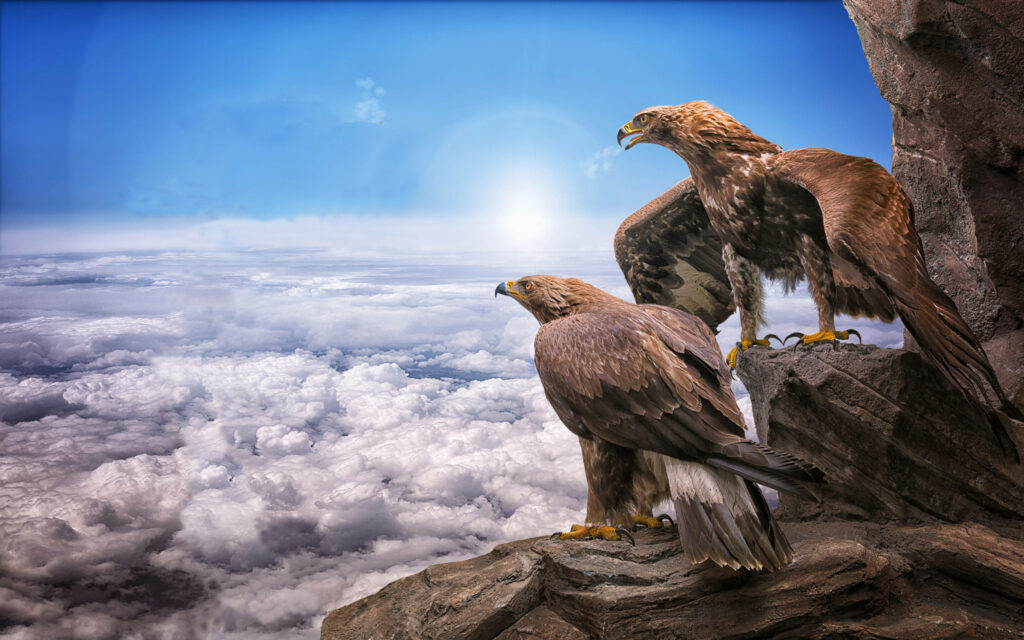 Majestic Eagles on Rugged Cliffs: Serene Desktop Wallpaper Background