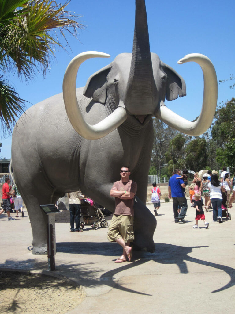 Majestic Elephant Statue at San Diego Zoo - Lifelike Details Wallpaper