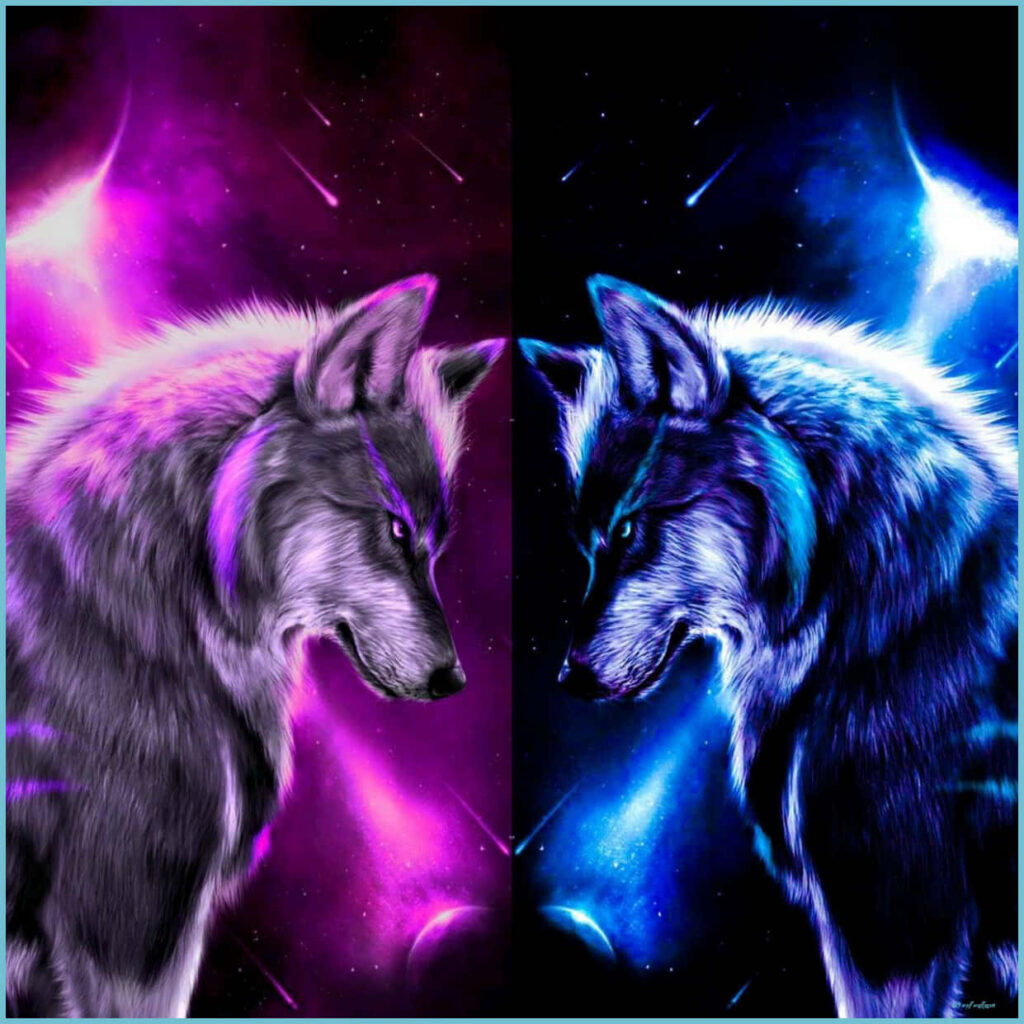 Majestic Grey Wolves Close-Up in Cosmic Pink and Blue Background Wallpaper