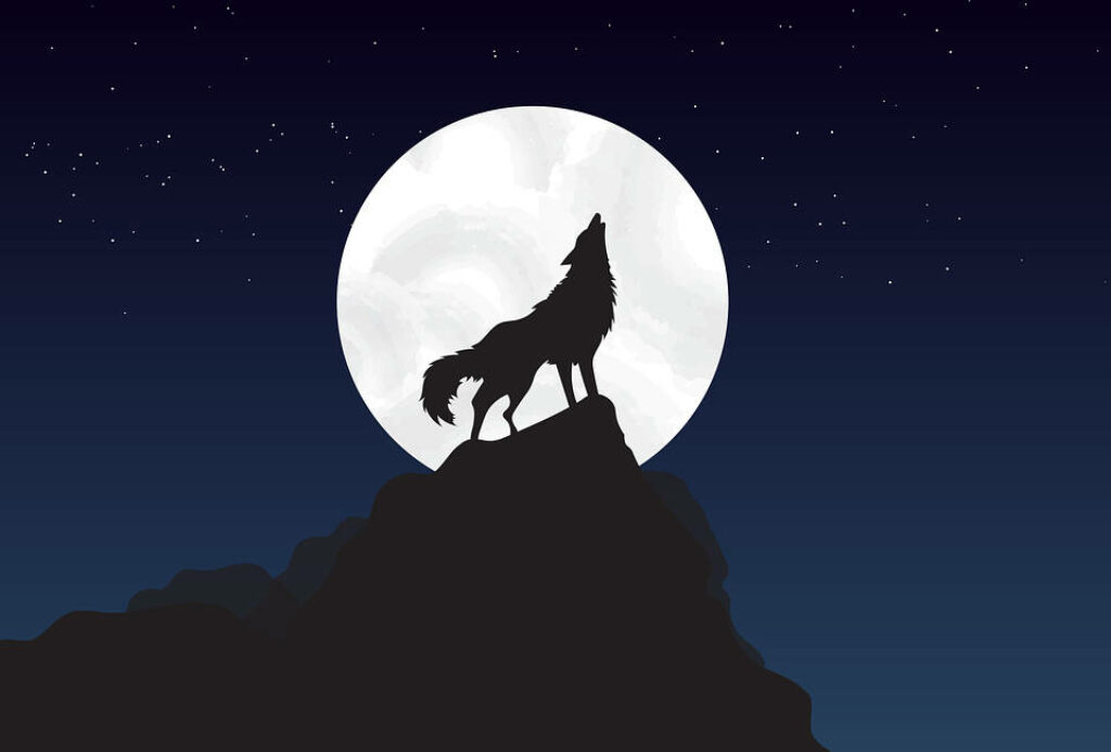 Majestic Wolf Howling at Moon - HD Vector Wallpaper Background
