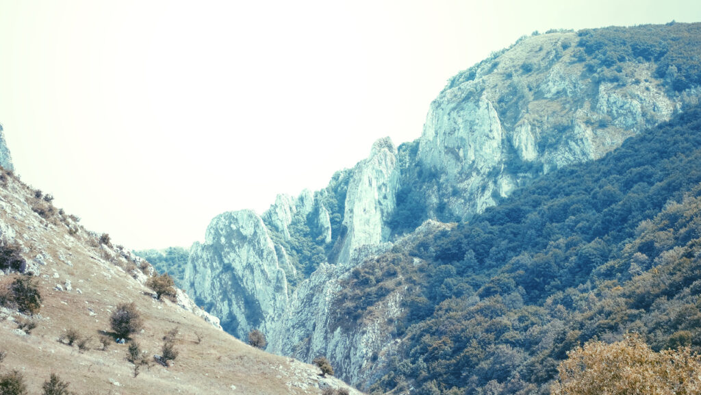 Highland landscape with rugged mountains rocky ridge and trees in soft natural earth tones wallpaper