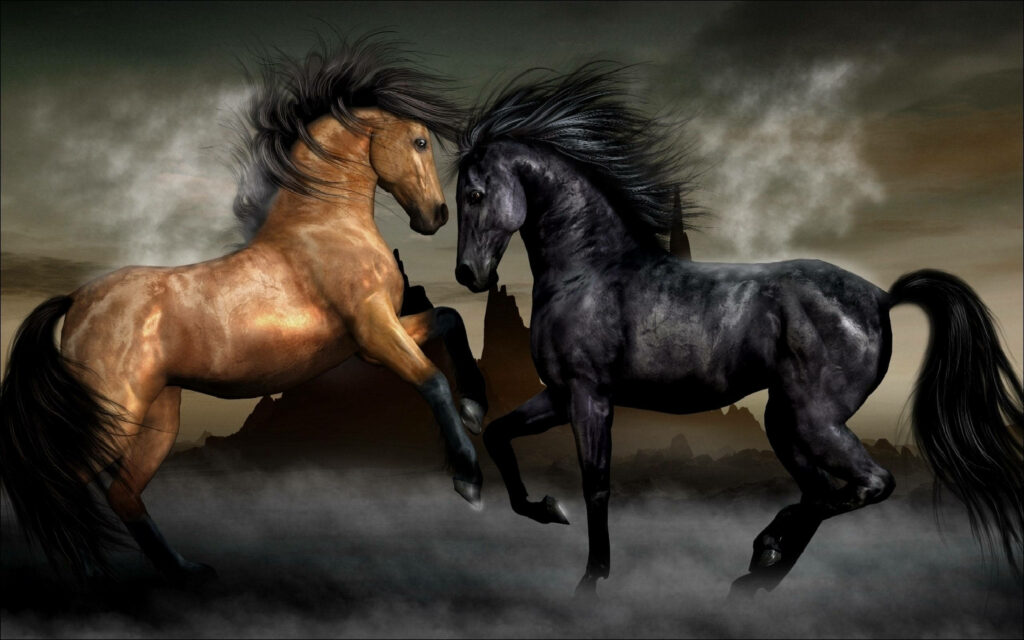Majestic Brown and Black Horses Rearing in Misty Background Wallpaper