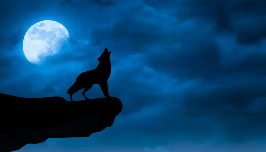 The Enigmatic Howl: A Majestic Black Wolf Embracing the Cliffs Against a Starlit Night Sky with a Radiant Full Moon Wallpaper
