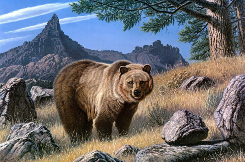 Majestic Kodiak Bear in Rugged Forest Landscape Wallpaper
